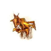 Golden Budge Dragon