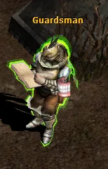 Castle Siege